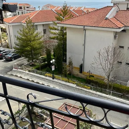 Daire Triumph, Saint Vlas